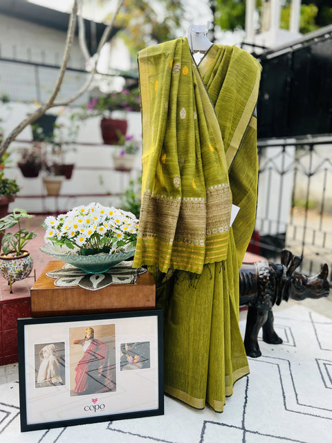 SAREE ( ERI x KESAPAT )